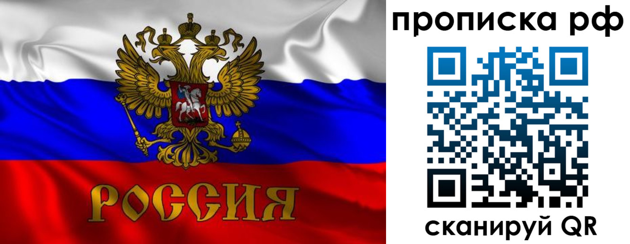прописка 2025 в Скопине